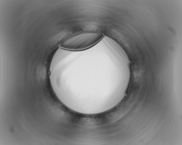 X0000112390211200909032020