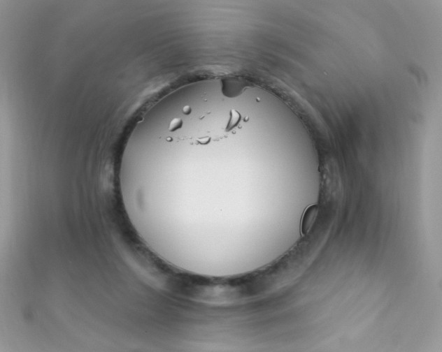 X0000112390212200909032020