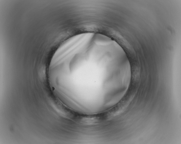 X0000112390213200909032020