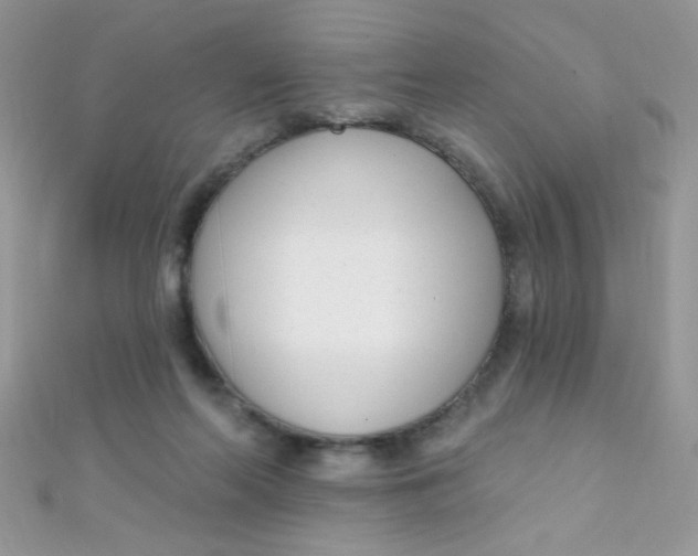 X0000112390214200909032020