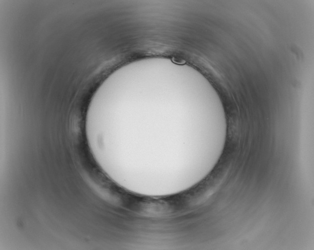 X0000112390215200909032020