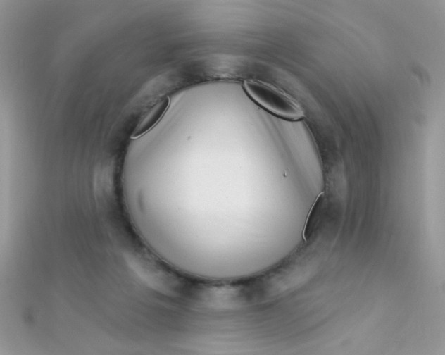 X0000112390217200909032020