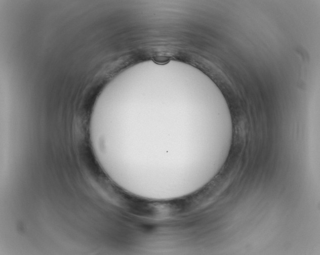 X0000112390218200909032020