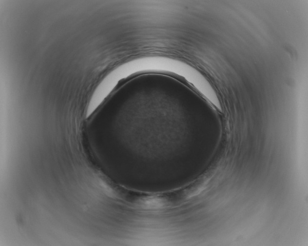X0000112390219200909032020