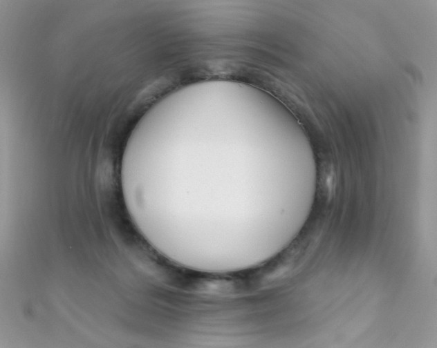 X0000112390220200909032020