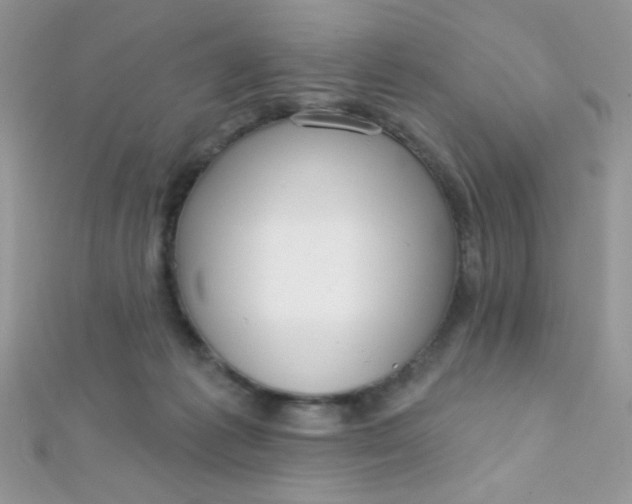 X0000112390221200909032020