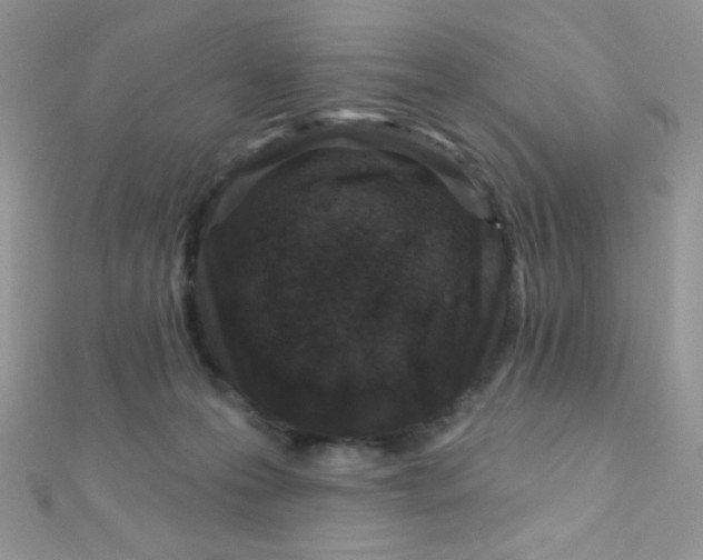 X0000112390223200909032020