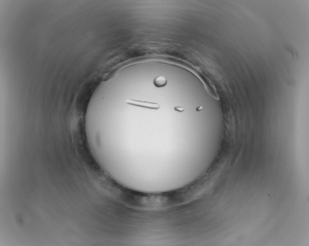 X0000112390225200909032020