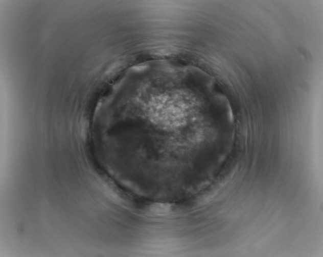 X0000112390227200909032020