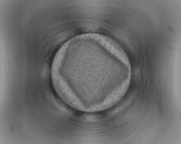 X0000112390228200909032020