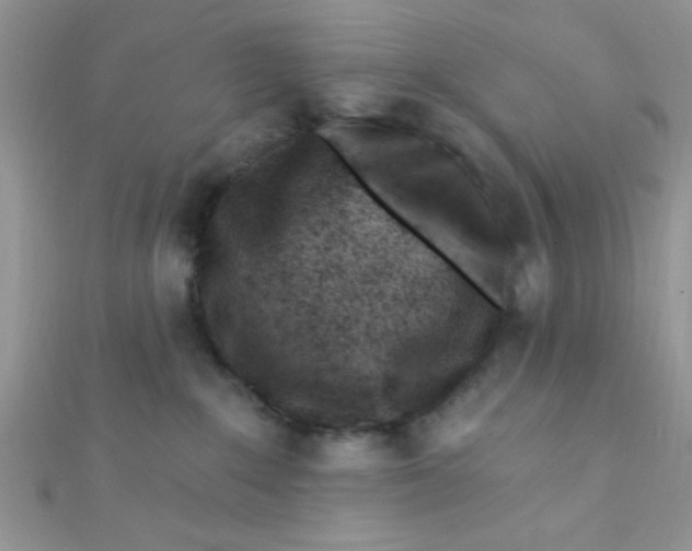 X0000112390235200909032020