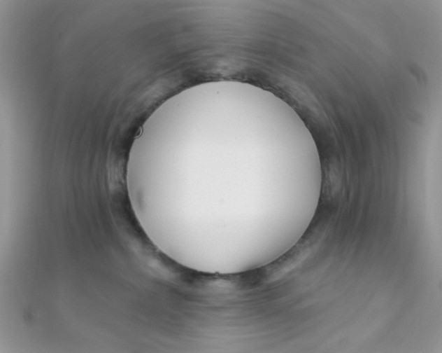 X0000112390236200909032020