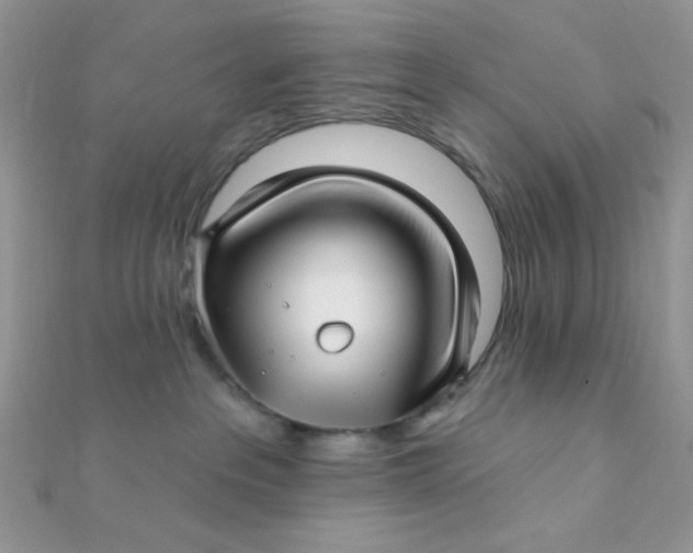 X0000112390237200909032020