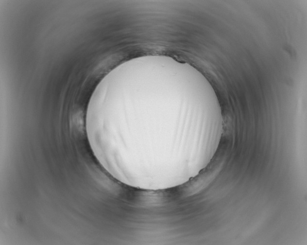 X0000112390238200909032020