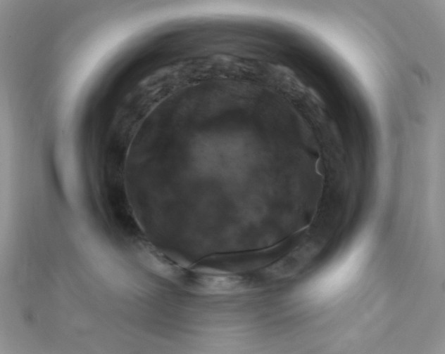 X0000112390239200909032020