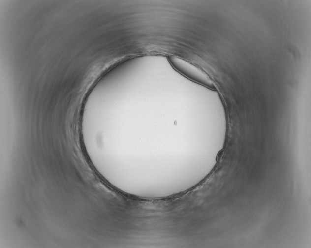 X0000112390241200909032019