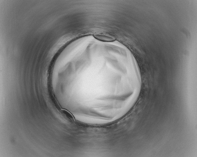 X0000112390242200909032019