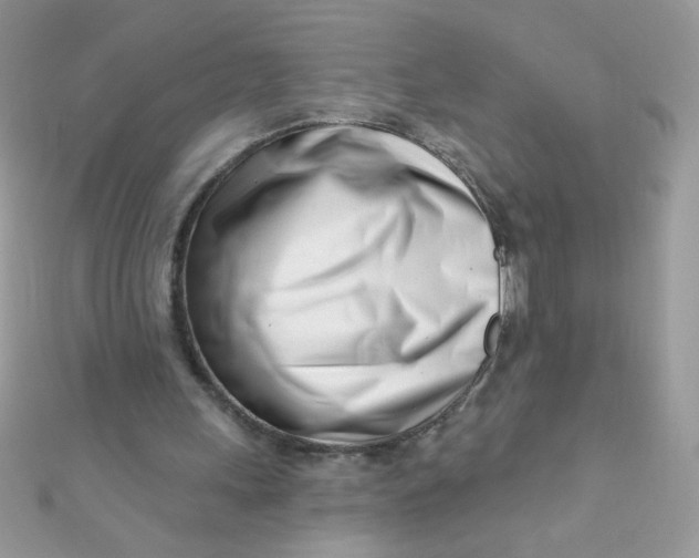 X0000112390243200909032019