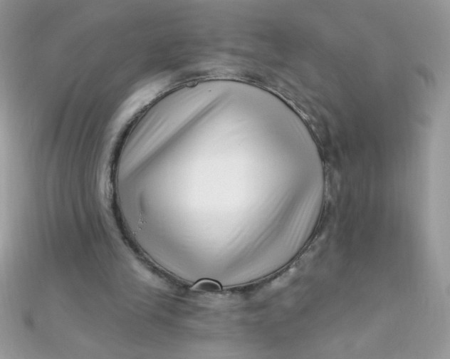 X0000112390245200909032019