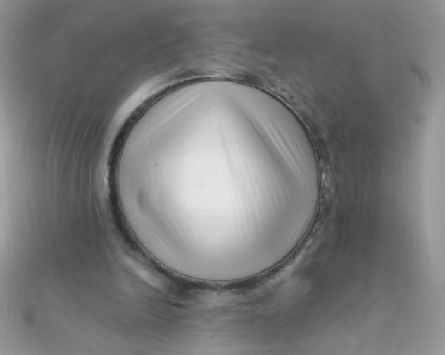 X0000112390246200909032019