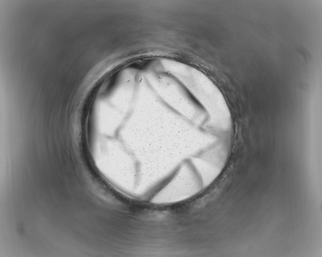 X0000112390247200909032019