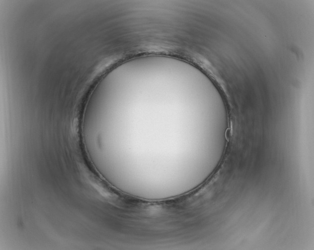X0000112390249200909032019