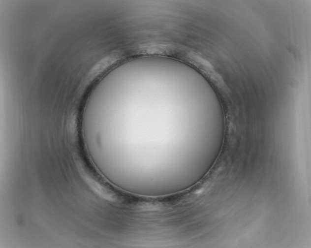 X0000112390250200909032019