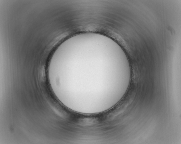 X0000112390251200909032019