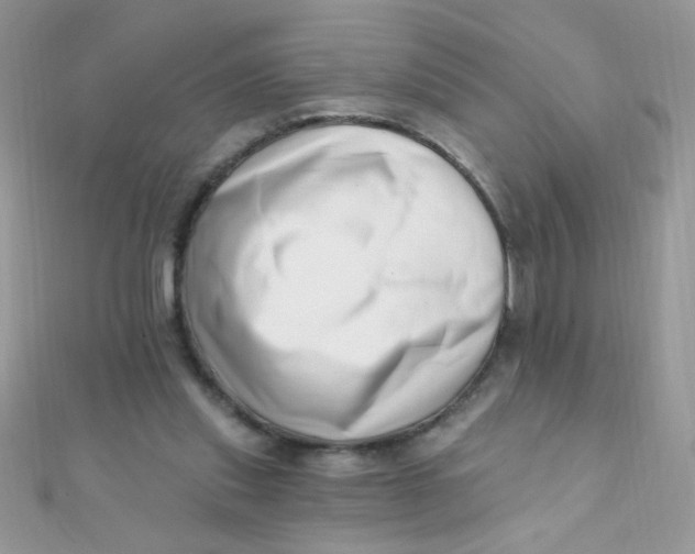 X0000112390253200909032019