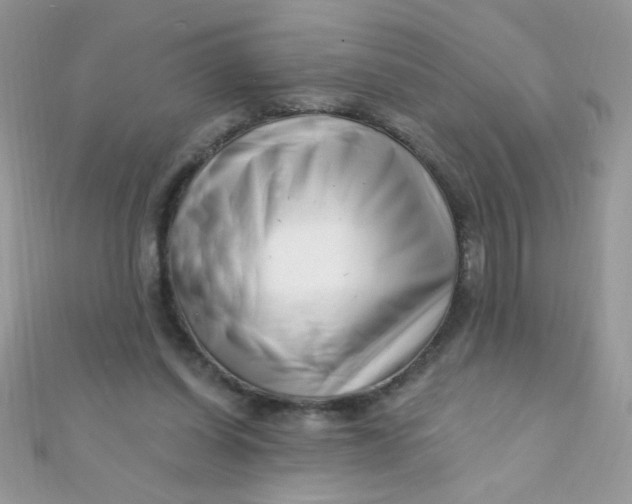 X0000112390254200909032019