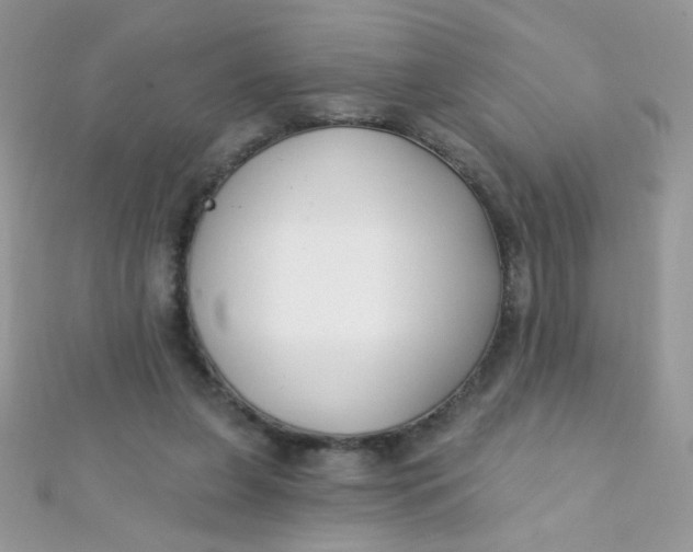 X0000112390255200909032019