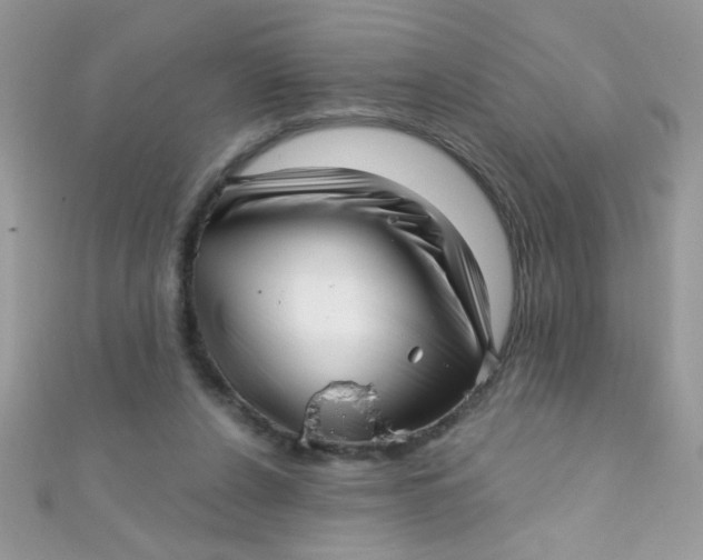 X0000112390256200909032019