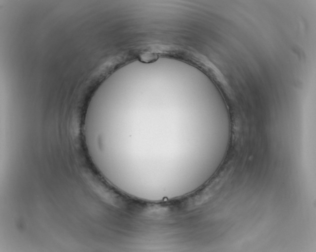 X0000112390257200909032019