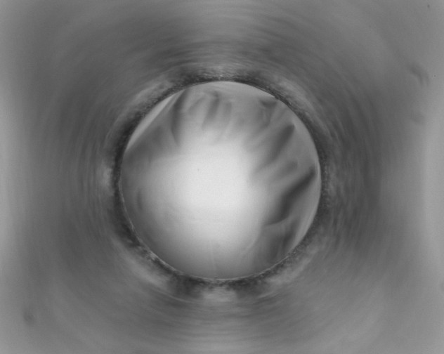 X0000112390258200909032020