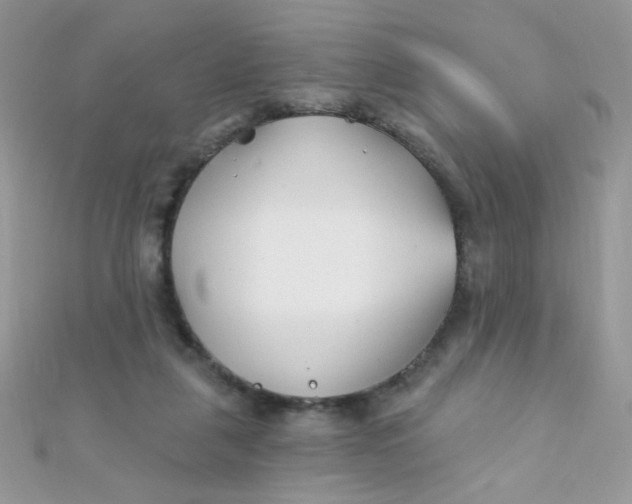 X0000112390259200909032020