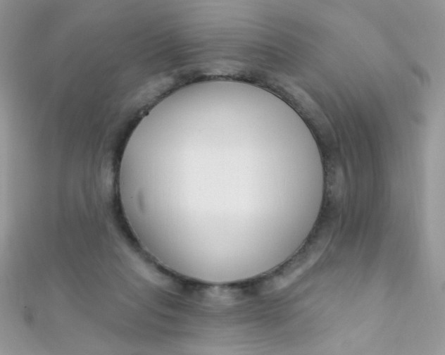 X0000112390261200909032020