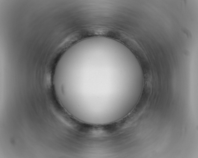 X0000112390262200909032020