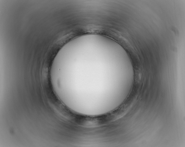 X0000112390263200909032020