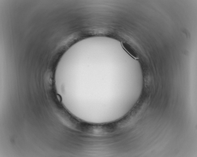 X0000112390264200909032020
