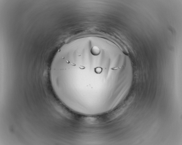 X0000112390265200909032020