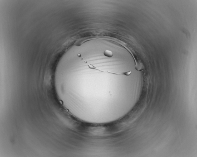 X0000112390266200909032020