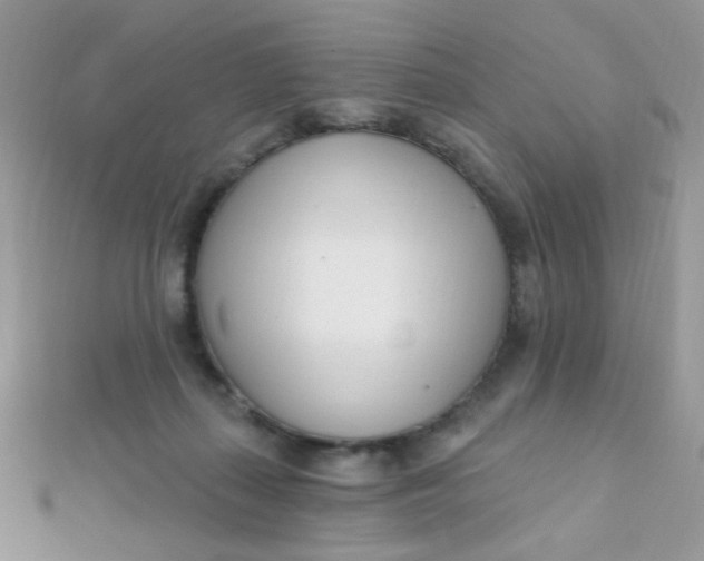 X0000112390267200909032020