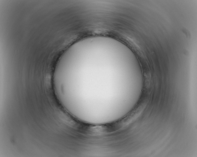 X0000112390269200909032020