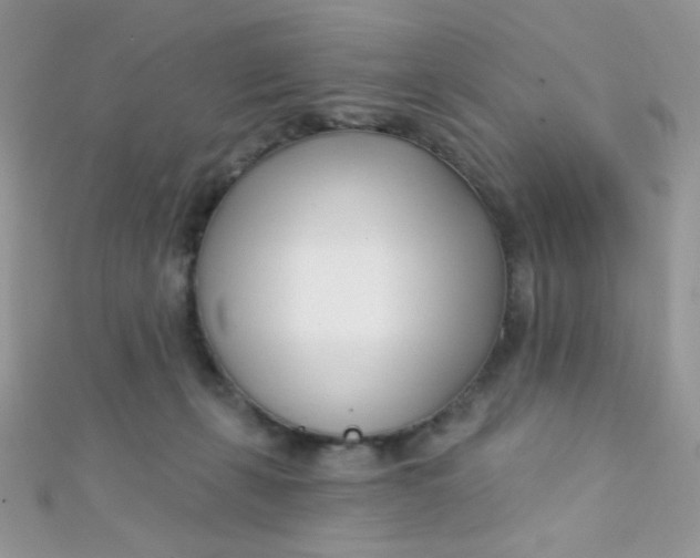 X0000112390271200909032020