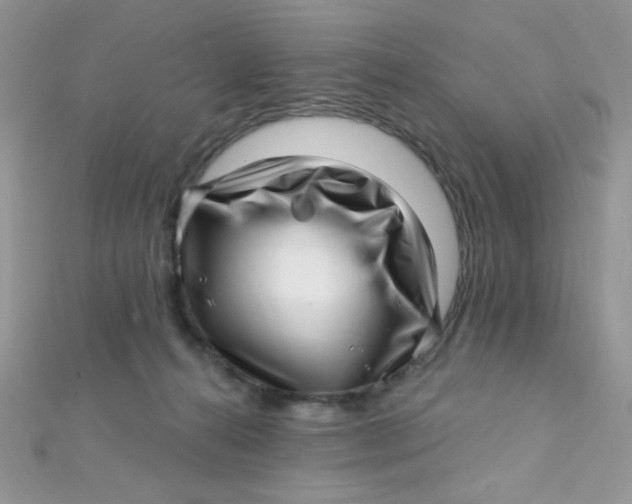 X0000112390272200909032020