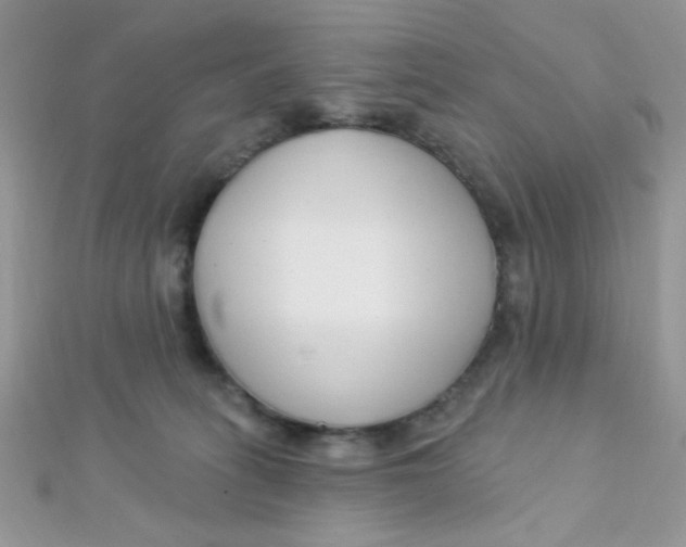 X0000112390275200909032020