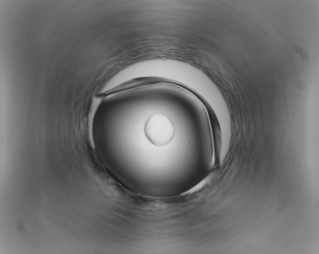 X0000112390276200909032020