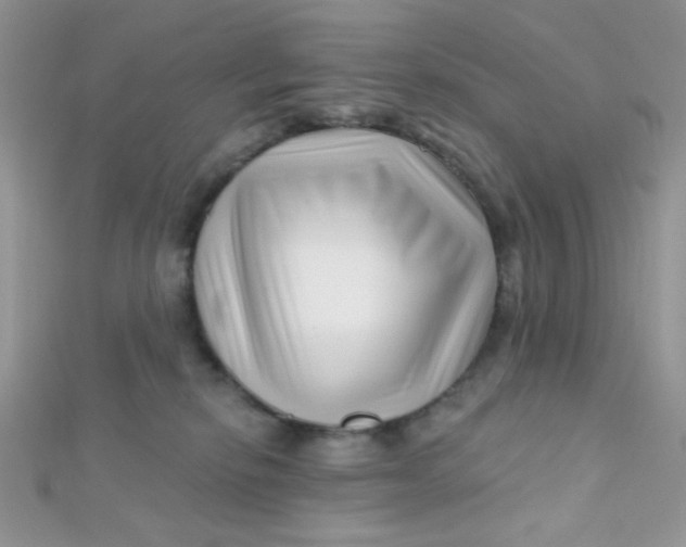 X0000112390278200909032020