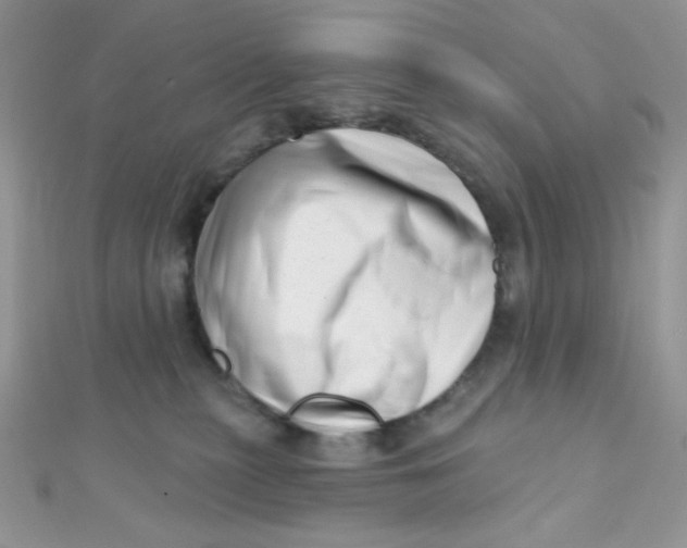 X0000112390279200909032020