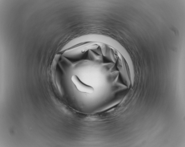 X0000112390280200909032020